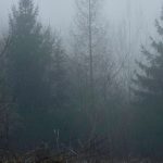 Advent | AT23 Jesaja 63,15-64,3 O Heiland, reiß die Himmel auf