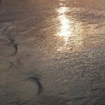 Synopse: Taufe und erstes Auftreten Jesu
