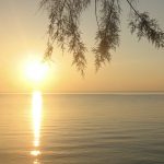 Predigt | NT06 Römer Gottes Liebe ausgegossen | Pfingsten