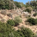 04-NT Synoptiker und Apostelgeschichte