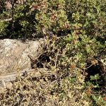 04-NT Synoptiker und Apostelgeschichte