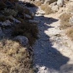 04-NT Synoptiker und Apostelgeschichte