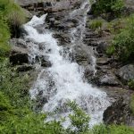 Predigt | AT24 Jeremia 17,5-8 "Wie ein Baum an Wasserbächen" | aus Xpe35.1