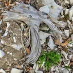 Predigt | Karfreitag – Der Tag, an dem Gottes Herz offenlag