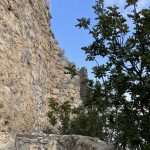 Synopse der Jesus-Überlieferung in der Logienquelle (Q)