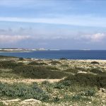 04-NT Synoptiker und Apostelgeschichte