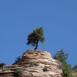 Die Bergpredigt: Synopse und Struktur