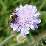 Frauen | NT02 Markus 14,3-9 Verschwendung aus vollem Herzen