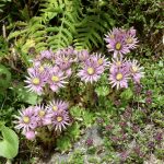 Jahreswechsel | AT24 Jeremia 29,13-14 Gott von ganzem Herzen suchen