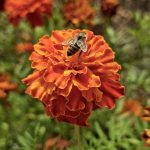 Predigt | NT03 Lukas 6,36-42 Seid barmherzig!