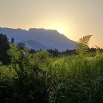 Hl. Geist | Johannes 16,5-15 „Es ist gut, dass ich weggehe…“